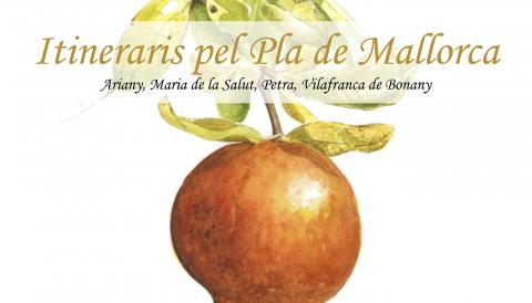 Itineraris pel Pla de Mallorca